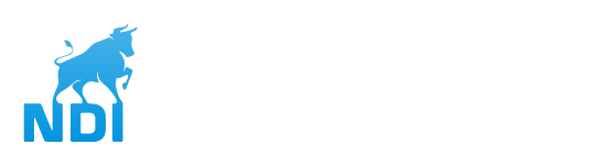 Nandi Investment